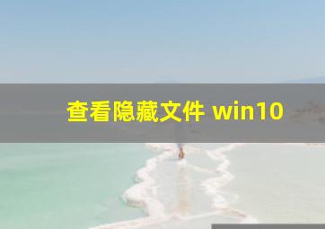 查看隐藏文件 win10